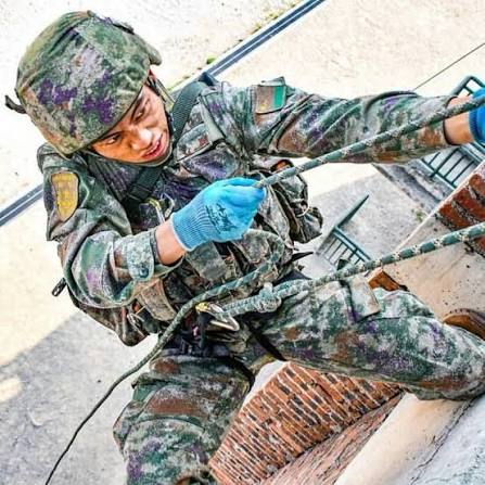 A Collector's Guide to PLA Branch Insignia Patches