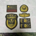 PAP Branch Insignia Patch Set (武装警察部队)