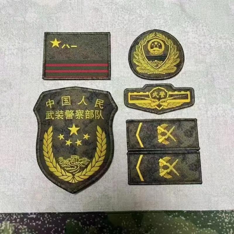 PAP Branch Insignia Patch Set (武装警察部队)