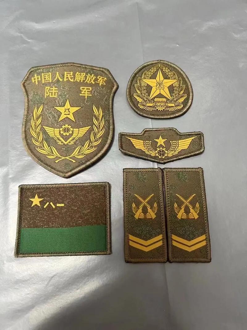 PLA Army Branch Insignia Patch Set (陆军)