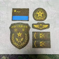 PLA Air Force Branch Insignia Patch Set (空军)